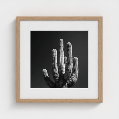 timeless-black-and-white-fine-art-desert-cactus 16x16-natural frame frame