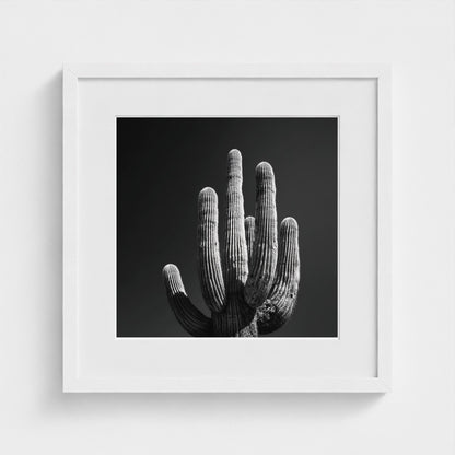 timeless-black-and-white-fine-art-desert-cactus 16x16-white frame frame