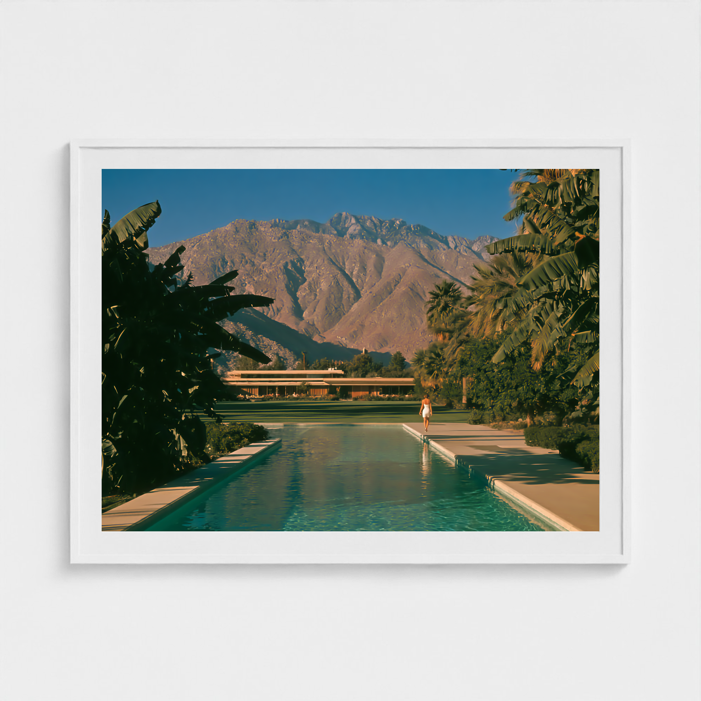 Solitary Lap fine art photography print in a White frame — Palm Springs crop-to-fill cover v1 9578384d15