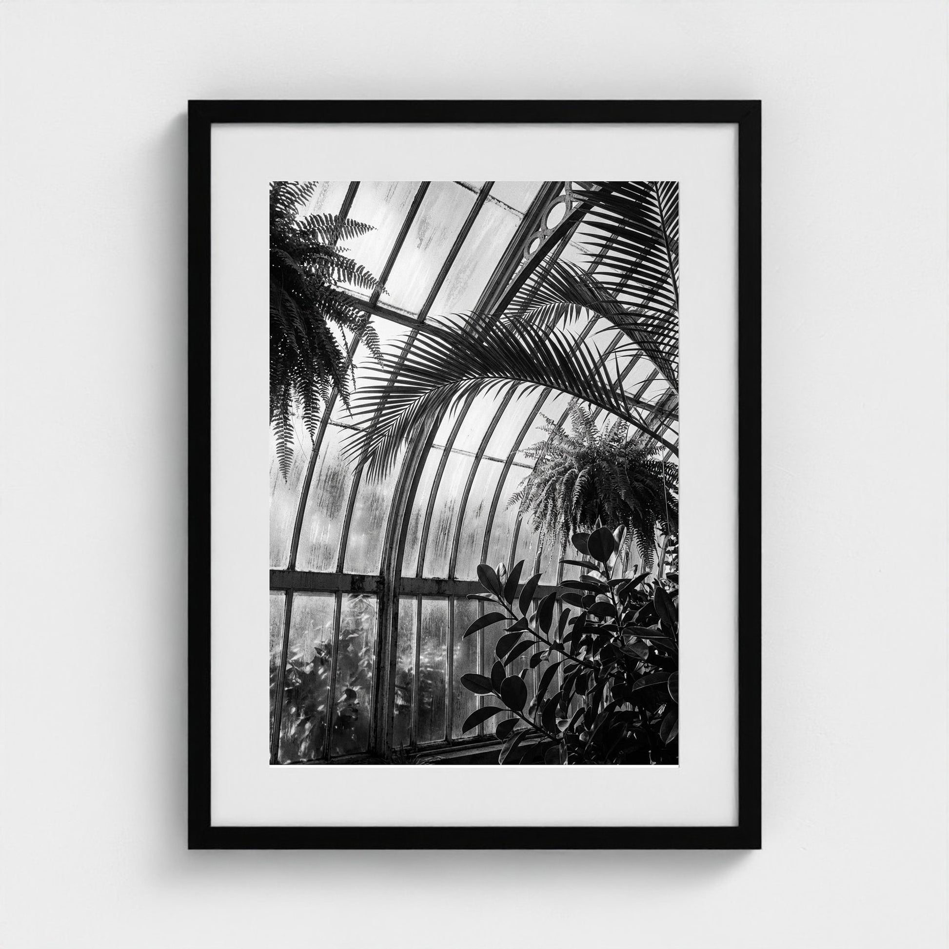 greenhouse 18x24-black frame frame
