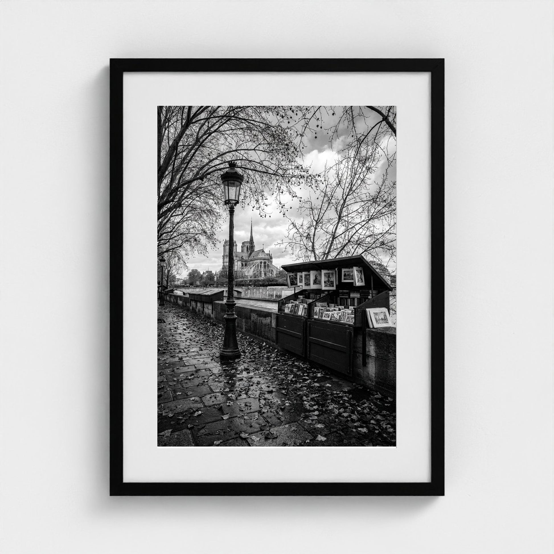 bw-autumn-paris 18x24-black frame frame