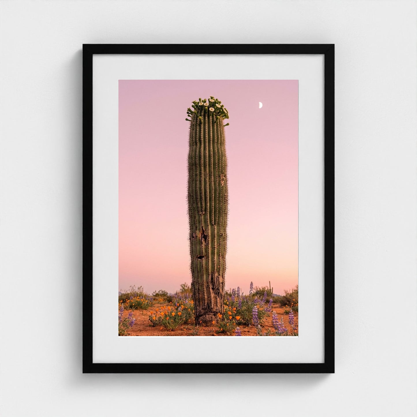 cactus-pink 18x24-black frame frame