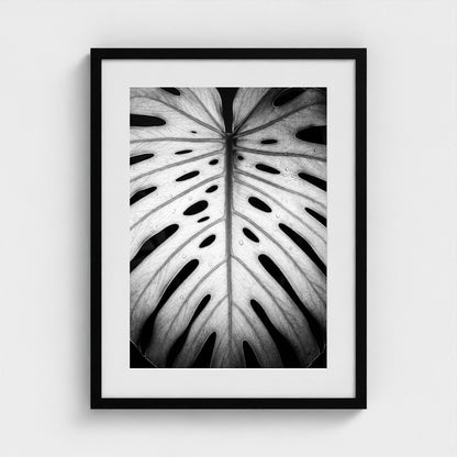 bw-monstera-light 18x24-black frame frame