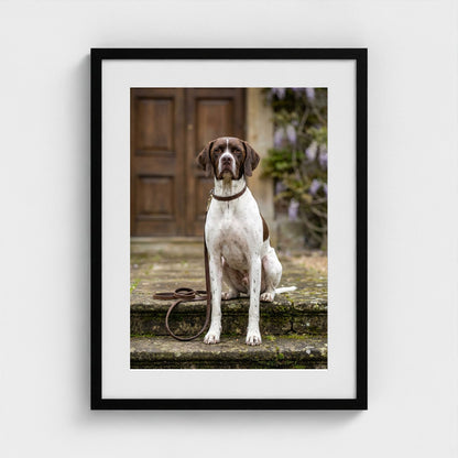 estate-hound 18x24-black frame frame
