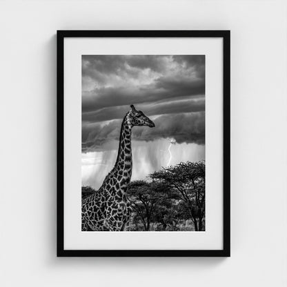 lone-giraffe 18x24-black frame frame