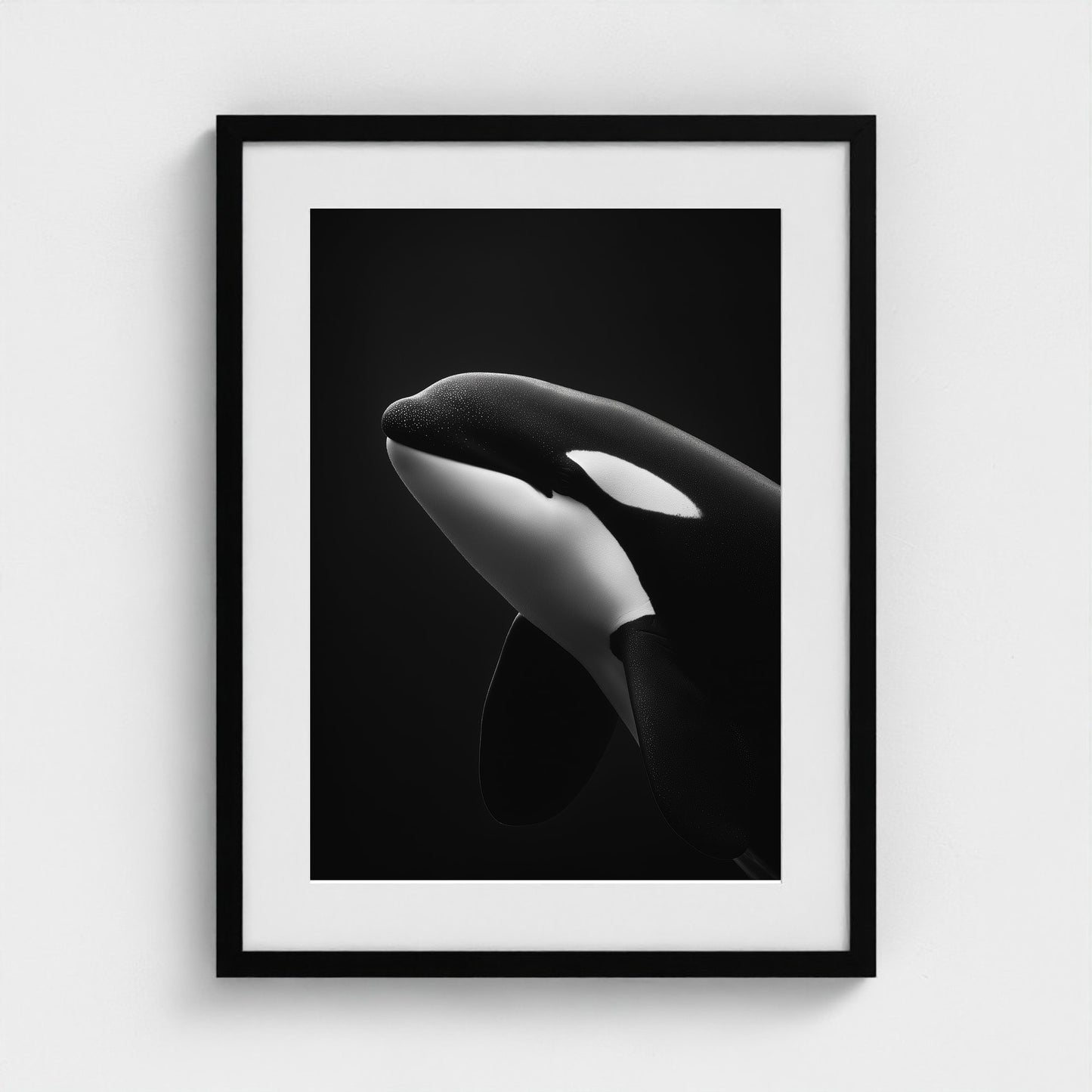 black-and-white-killer-whale-portrait-minimal-back-474a6497- 18x24-black frame frame