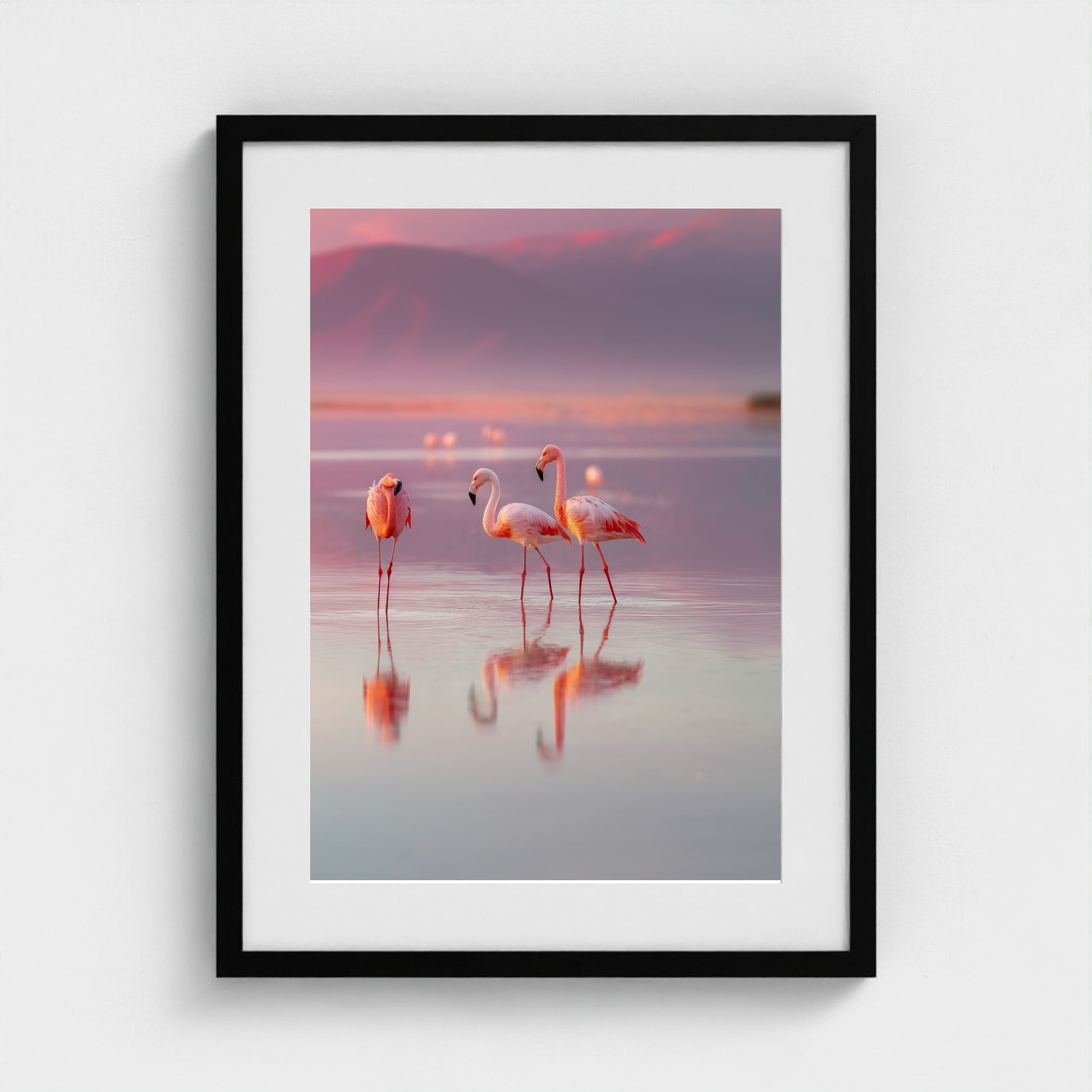 flamingos-in-shallow-pastel-water-soft-reflectio 18x24-black frame frame