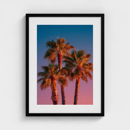 palm-trees-against-sunset-gradient-sky-minimal-f 18x24-black frame frame