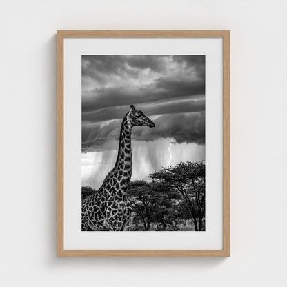 lone-giraffe 18x24-natural frame frame
