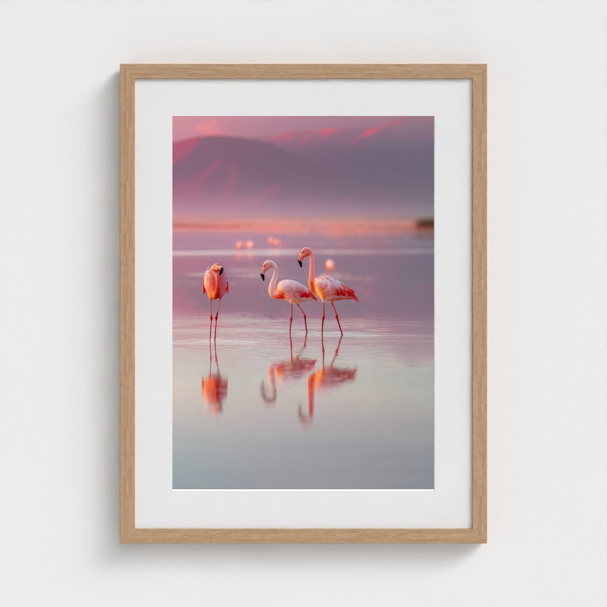 flamingos-in-shallow-pastel-water-soft-reflectio 18x24-natural frame frame
