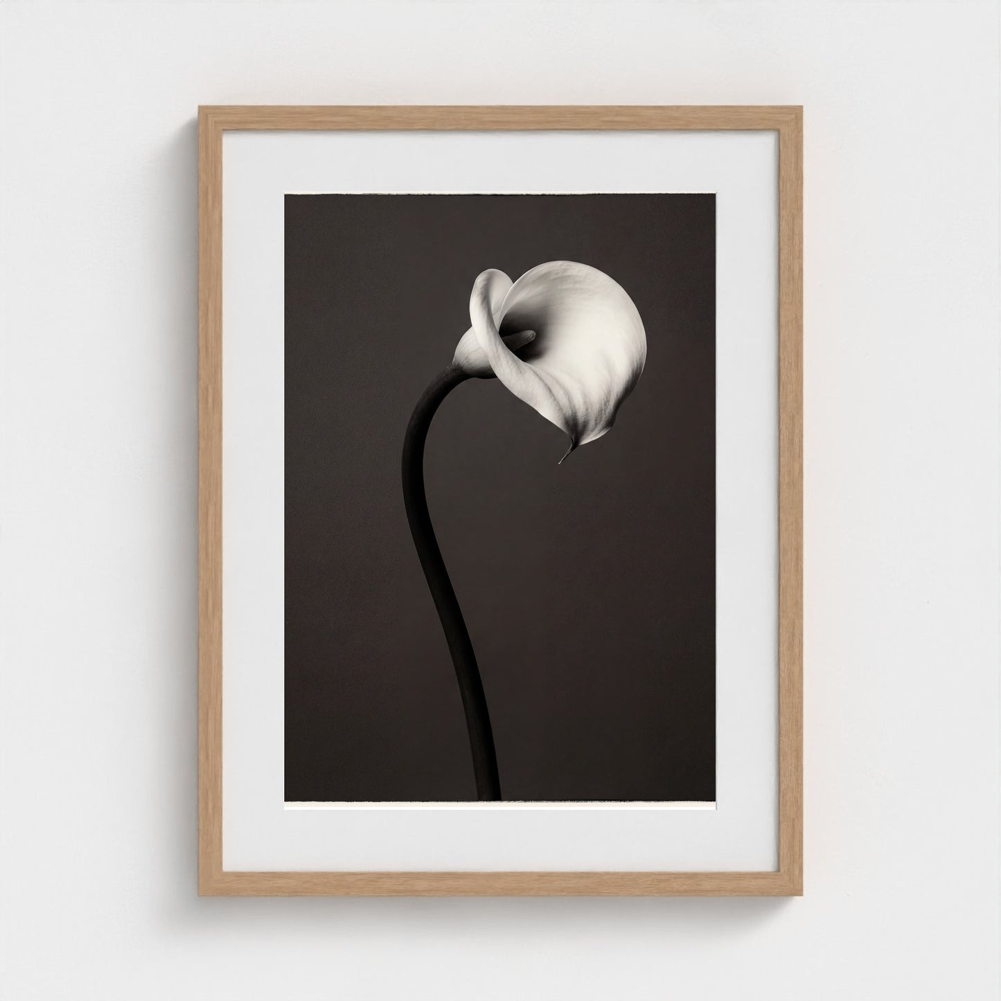 Calla Lily Wall Art — Monochrome Botanical Photography