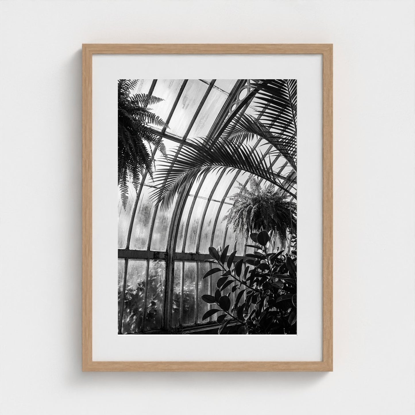 greenhouse 18x24-natural frame frame