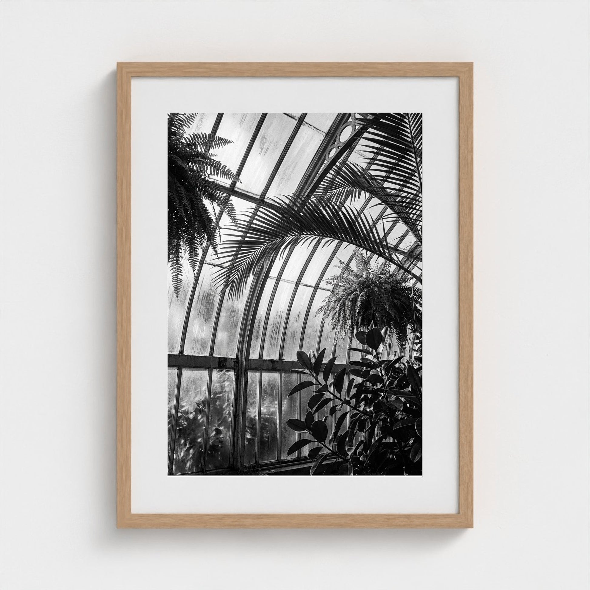 greenhouse 18x24-natural frame frame