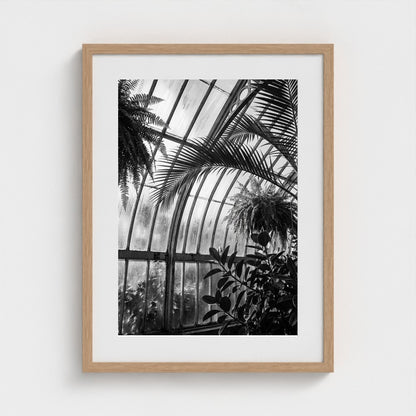 greenhouse 18x24-natural frame frame