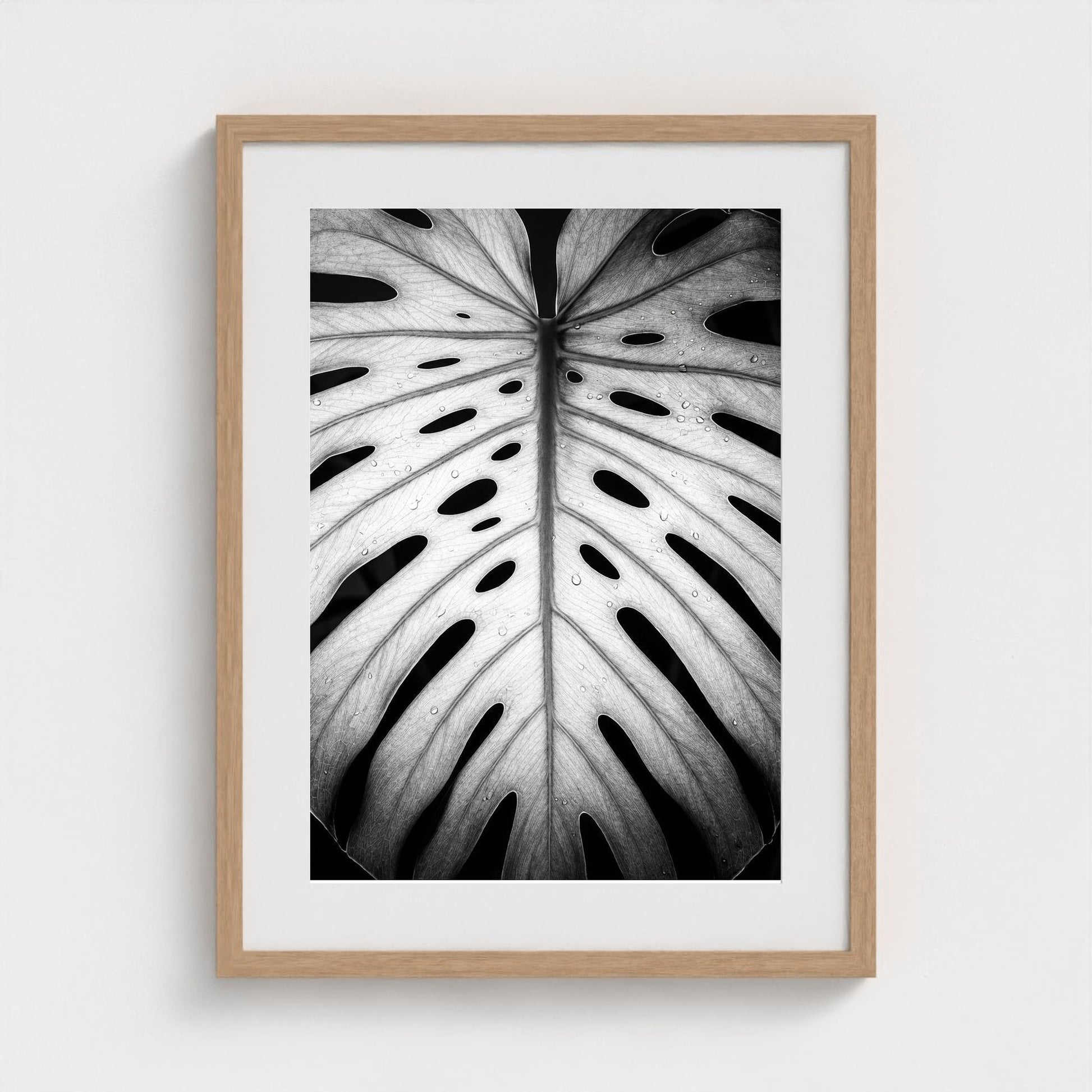bw-monstera-light 18x24-natural frame frame