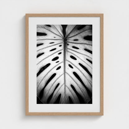 bw-monstera-light 18x24-natural frame frame
