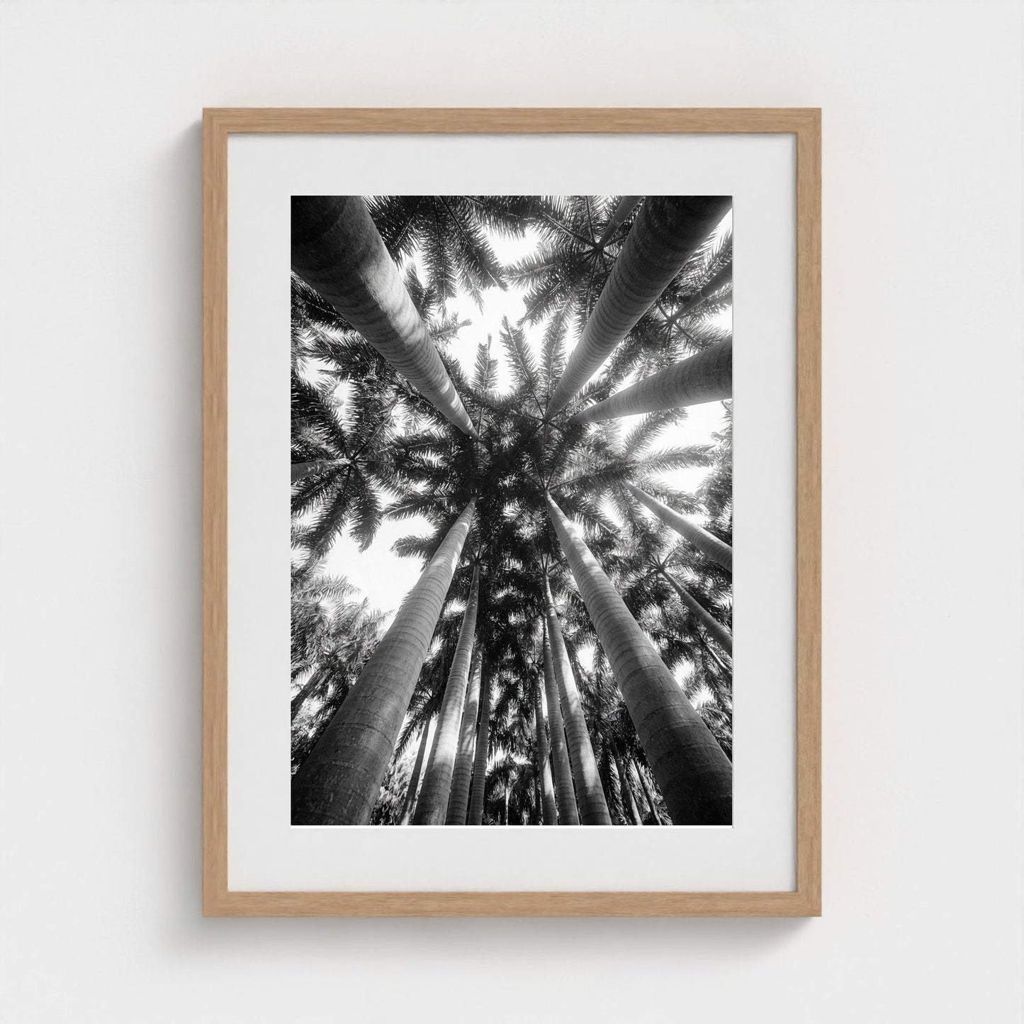 bw-palm-cathedral 18x24-natural frame frame