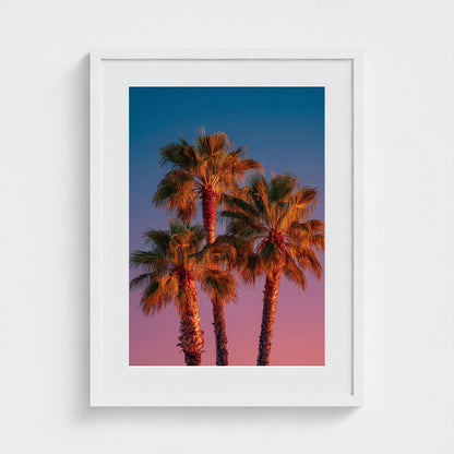 palm-trees-against-sunset-gradient-sky-minimal-f 18x24-white frame frame