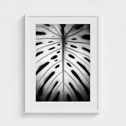 bw-monstera-light 18x24-white frame frame