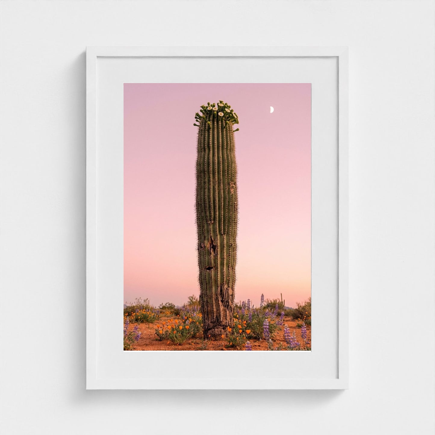 cactus-pink 18x24-white frame frame