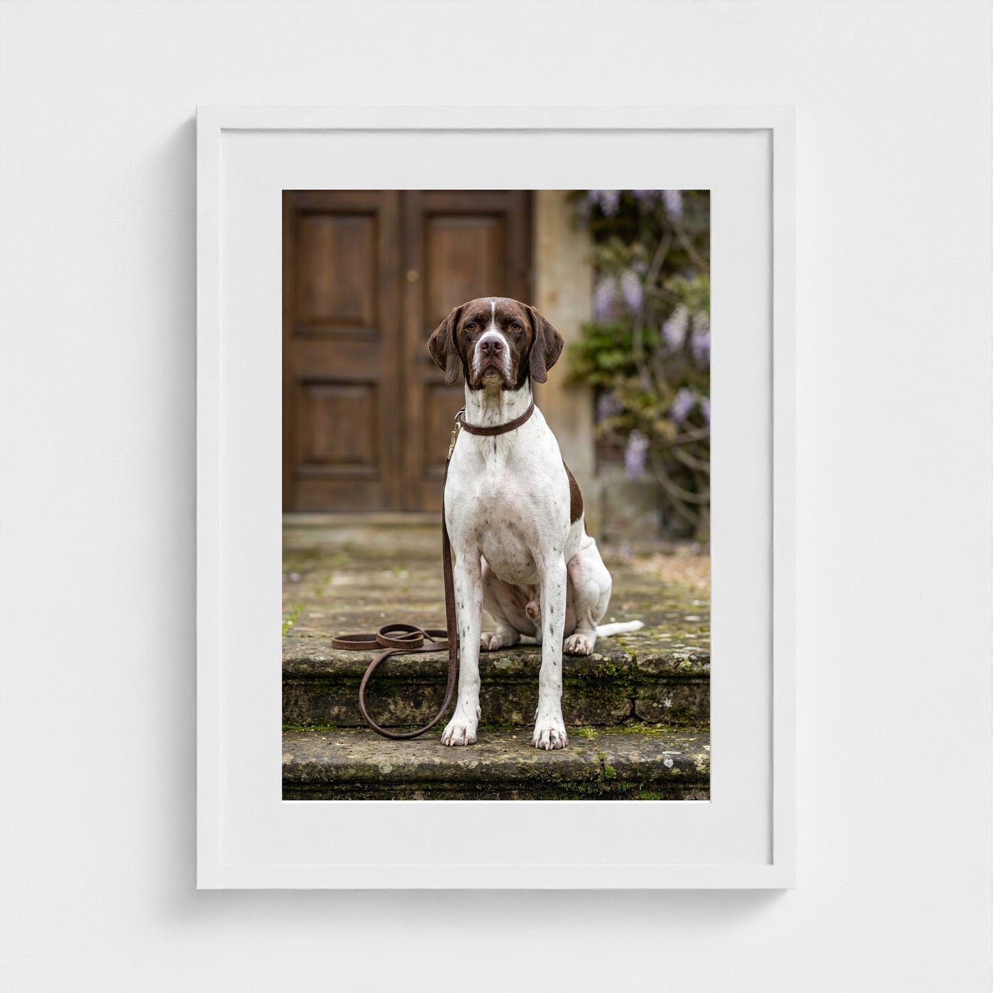 estate-hound 18x24-white frame frame
