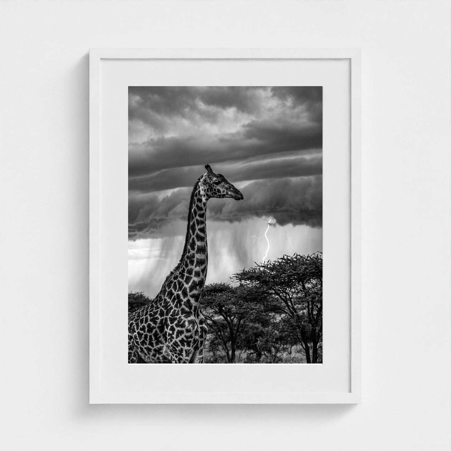 lone-giraffe 18x24-white frame frame
