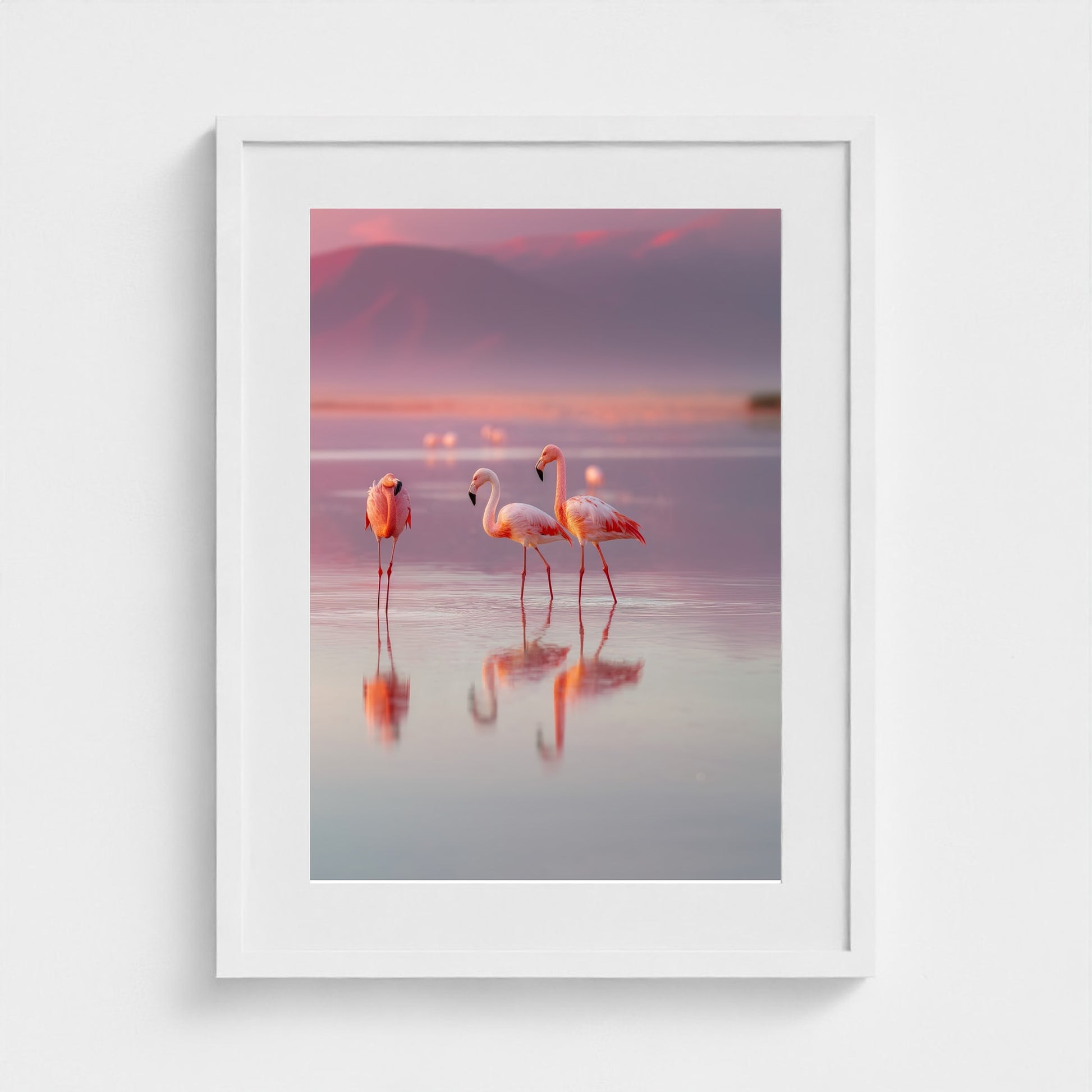 flamingos-in-shallow-pastel-water-soft-reflectio 18x24-white frame frame