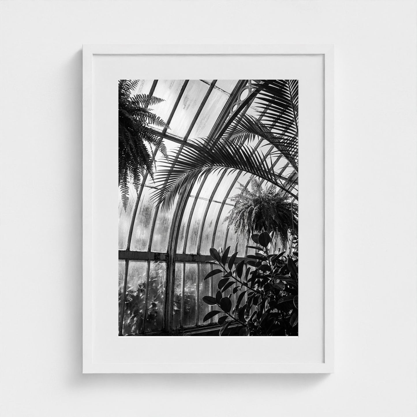 greenhouse 18x24-white frame frame