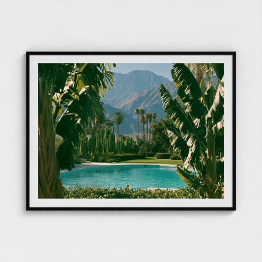 Palm Veil fine art photography print in a Black frame — Palm Springs crop-to-fill cover v1 61249dcb1e