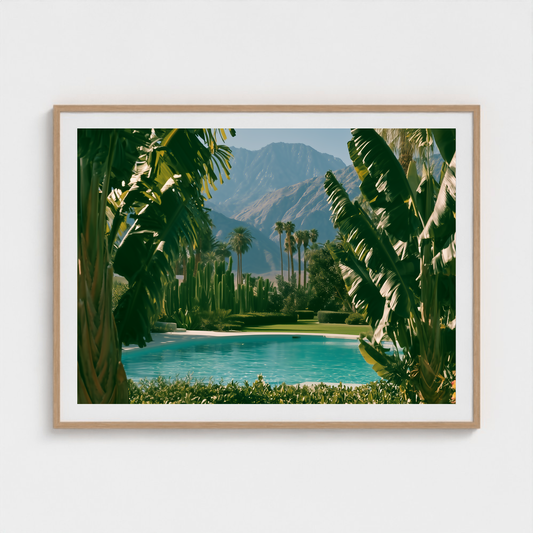Palm Veil fine art photography print in a Natural frame — Palm Springs crop-to-fill cover v1 030506d011