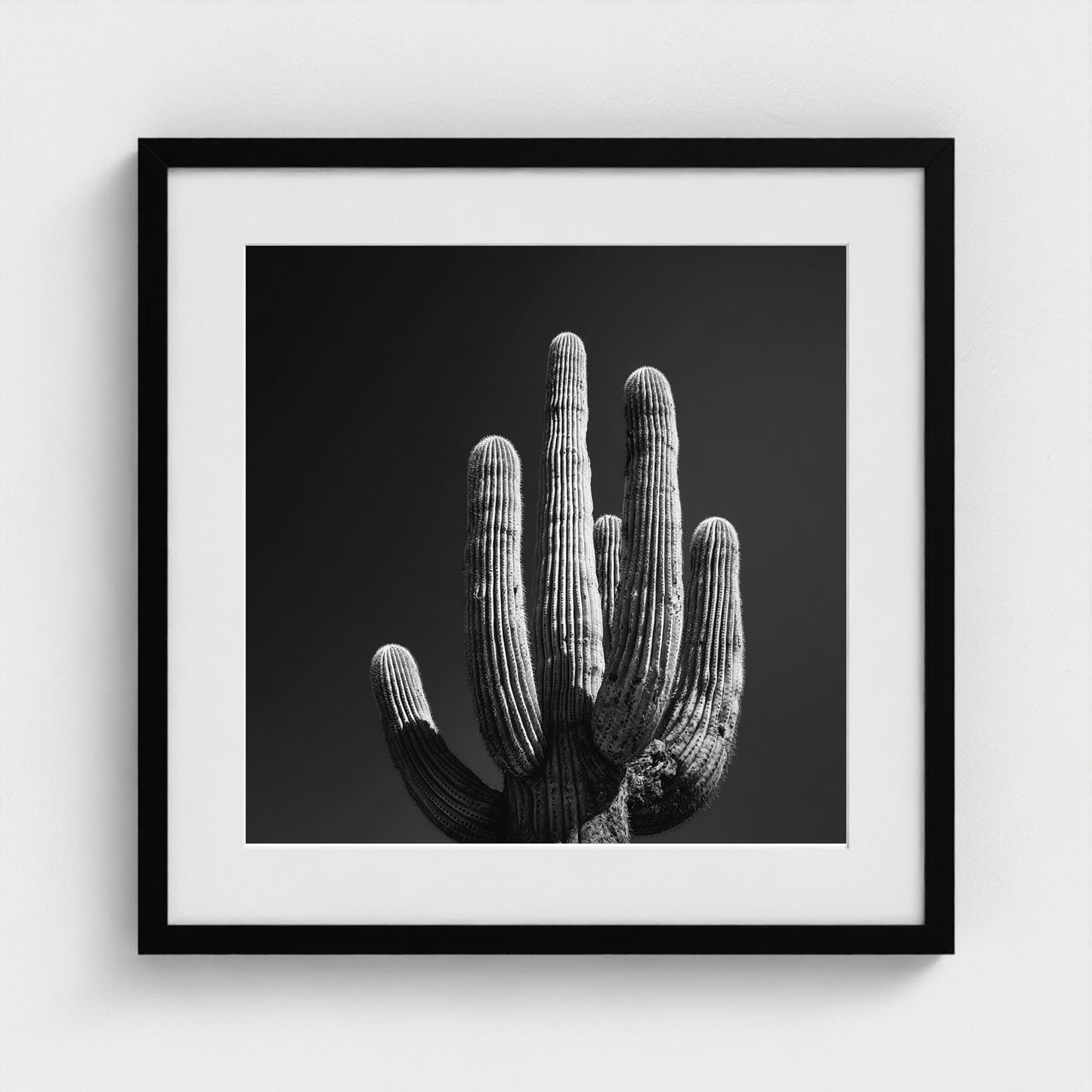 timeless-black-and-white-fine-art-desert-cactus 20x20-black frame frame