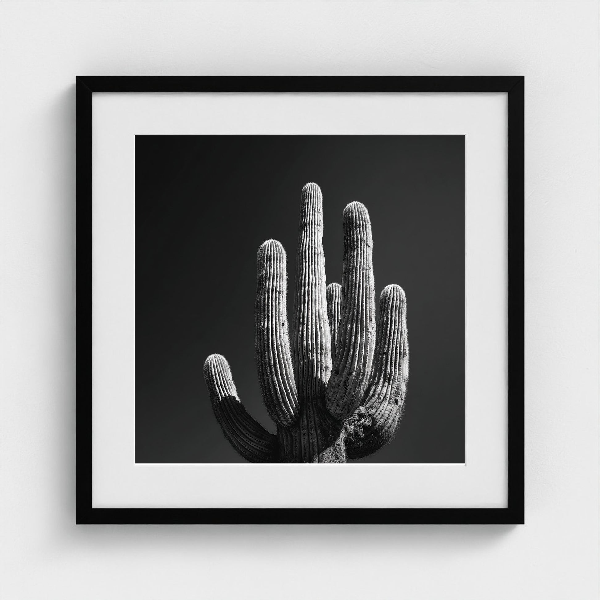 timeless-black-and-white-fine-art-desert-cactus 20x20-black frame frame