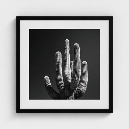 timeless-black-and-white-fine-art-desert-cactus 20x20-black frame frame