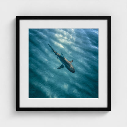 httpss.mj.runchkwm-9oem-shark-swimming-alone-in 20x20-black frame frame