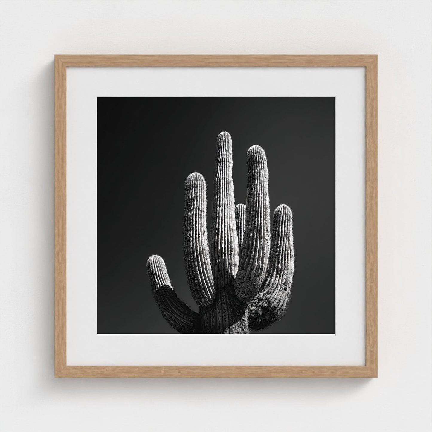 timeless-black-and-white-fine-art-desert-cactus 20x20-natural frame frame