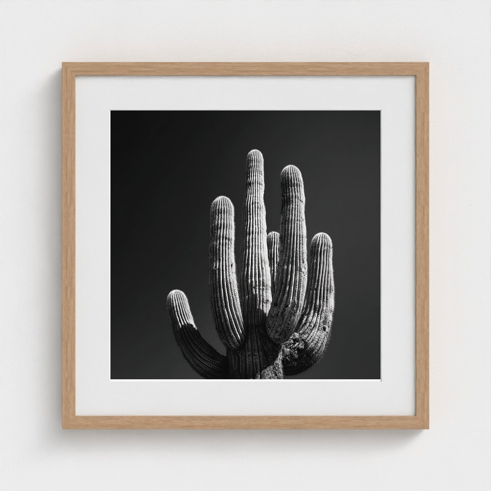timeless-black-and-white-fine-art-desert-cactus 20x20-natural frame frame