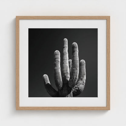 timeless-black-and-white-fine-art-desert-cactus 20x20-natural frame frame