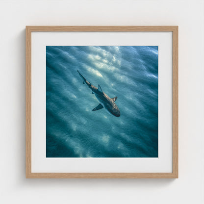 httpss.mj.runchkwm-9oem-shark-swimming-alone-in 20x20-natural frame frame