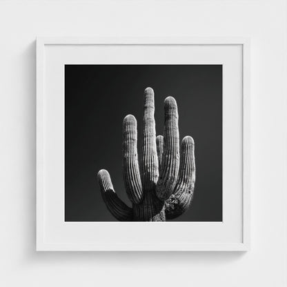 timeless-black-and-white-fine-art-desert-cactus 20x20-white frame frame