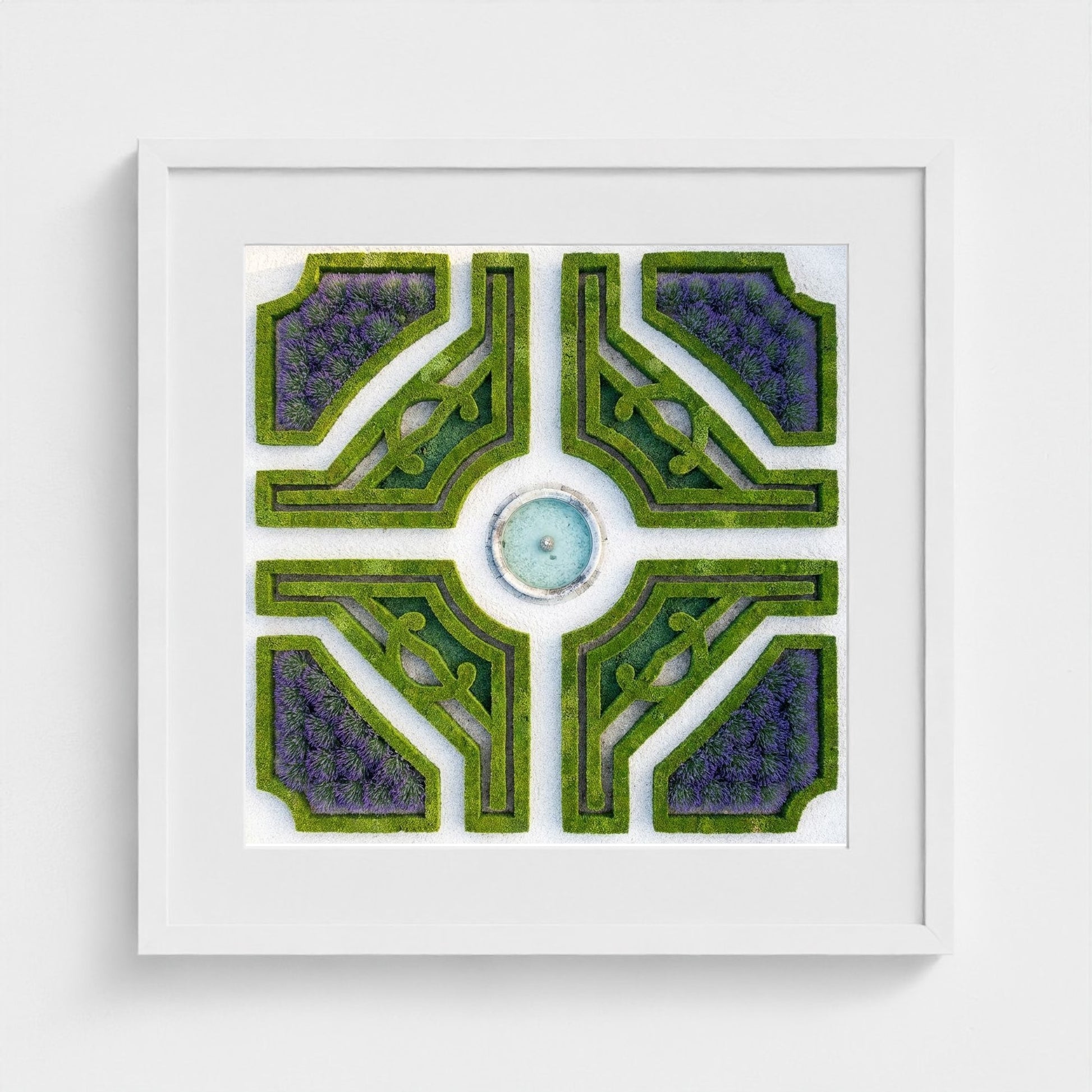 topiary-garden 20x20-white frame frame