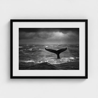 tail-fluke-against-stormy-sea-rain-sheets-and-wh 24x18-black frame frame
