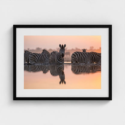 watering-hole 24x18-black frame frame