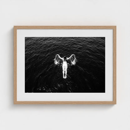 bw-open-water 24x18-natural frame frame