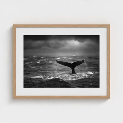 tail-fluke-against-stormy-sea-rain-sheets-and-wh 24x18-natural frame frame