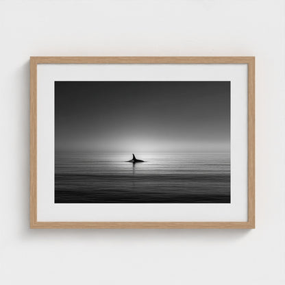 minimalist-negative-space-composition-lone-whale 24x18-natural frame frame