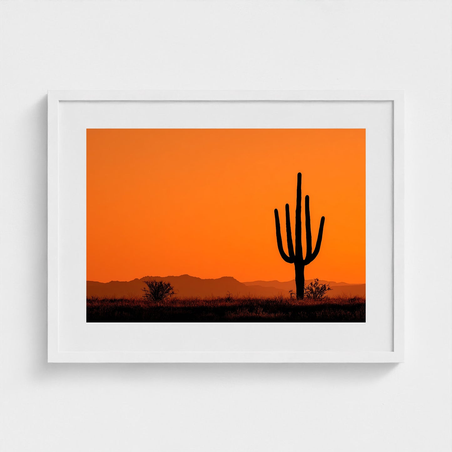 towering-saguaro-cactus-at-sunset-glowing-orange 24x18-white frame frame