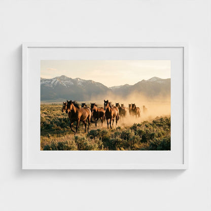 stampede 24x18-white frame frame