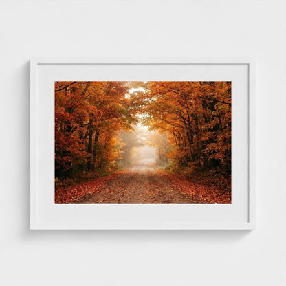 autumn-road 24x18-white frame frame