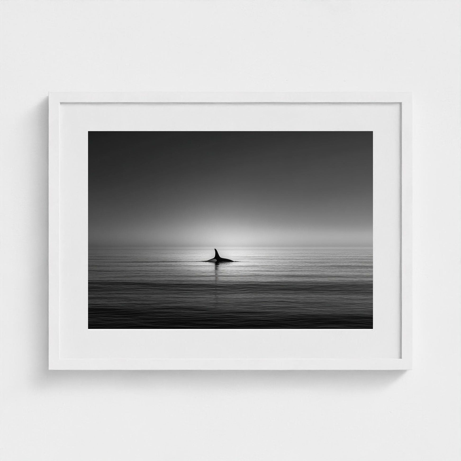 minimalist-negative-space-composition-lone-whale 24x18-white frame frame