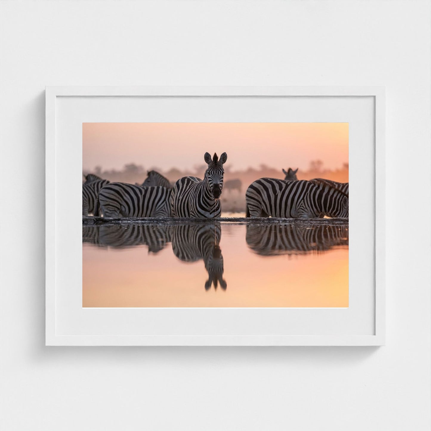 watering-hole 24x18-white frame frame